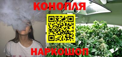гашик Кимры