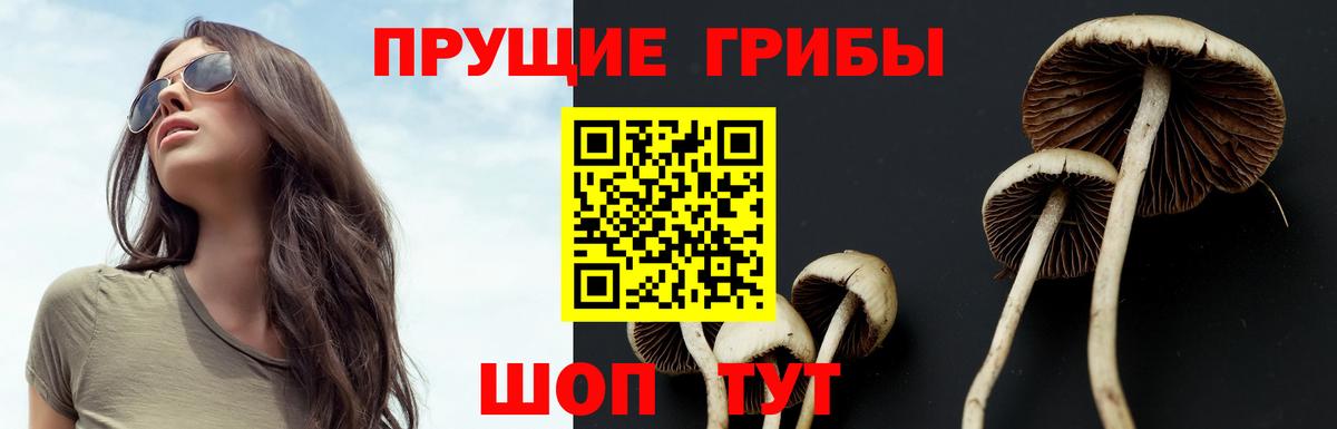 Галлюциногенные грибы MAGIC MUSHROOMS Котельники